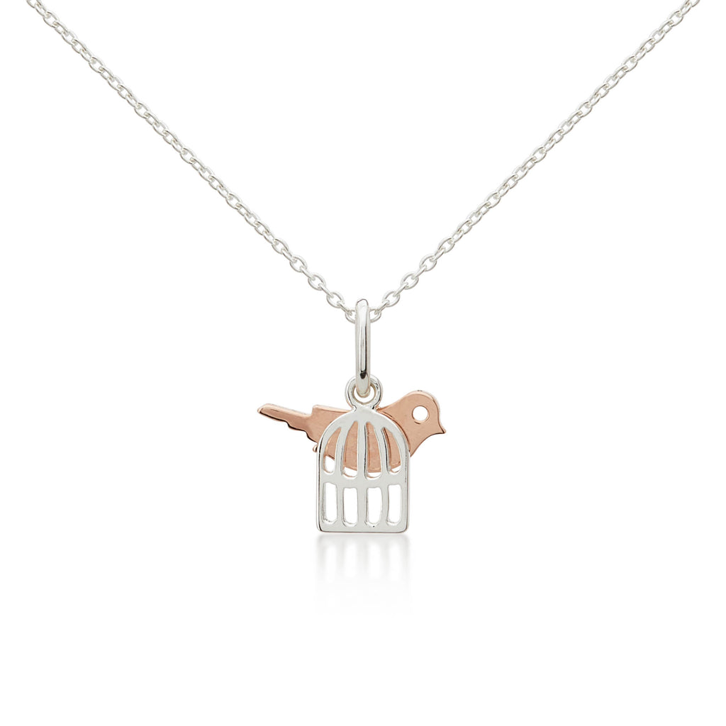 A Sterling Silver cage necklace with a rose gold bird sitting on top. A necklace for girls and teens to wear